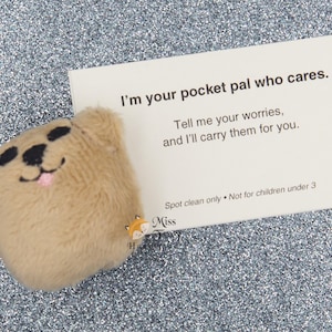 May include: A small, tan plush bear with black embroidered eyes and a pink tongue, next to a card that reads "I'm your pocket pal who cares." The card continues, "Tell me your worries, and I'll carry them for you."
