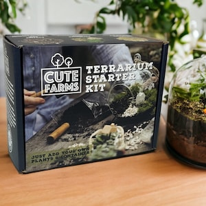 Terrarium Starter Kit DIY - Great Gift