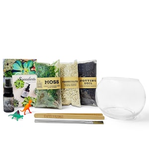 Terrarium Starter Kit DIY with Terrarium Glass Bowl - Gift Set
