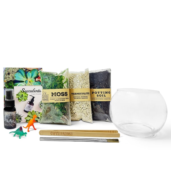 Terrarium Starter Kit DIY with Terrarium Glass Bowl - Gift Set