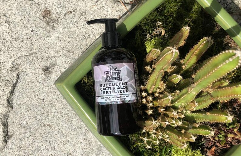 Cute Farms Succulent Cacti Aloe Fertilizer Gentle Monthly Etsy
