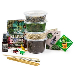 Pu&ograve; includere: Un kit da giardino in miniatura di Cute Farms, con contenitori trasparenti con terra, ghiaia e muschio. Include un flacone spray, una guida per la cura, strumenti e piccole statuette di dinosauri. Il kit include anche un libretto con il testo "Miniature Garden Build & Care Guide".