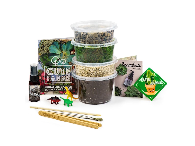 Pu&ograve; includere: Un kit da giardino in miniatura di Cute Farms, con contenitori trasparenti con terra, ghiaia e muschio. Include un flacone spray, una guida per la cura, strumenti e piccole statuette di dinosauri. Il kit include anche un libretto con il testo "Miniature Garden Build & Care Guide".