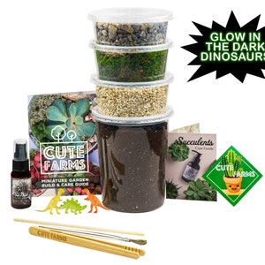 Glow in Dark Large Terrarium Starter Kit
