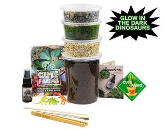 Glow in Dark Large Terrarium Starter Kit