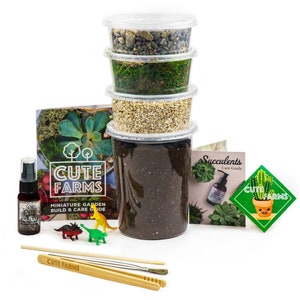 Large Terrarium Starter Kit