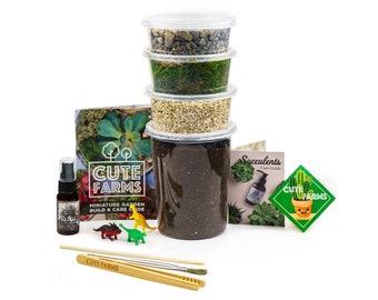 Large Terrarium Starter Kit