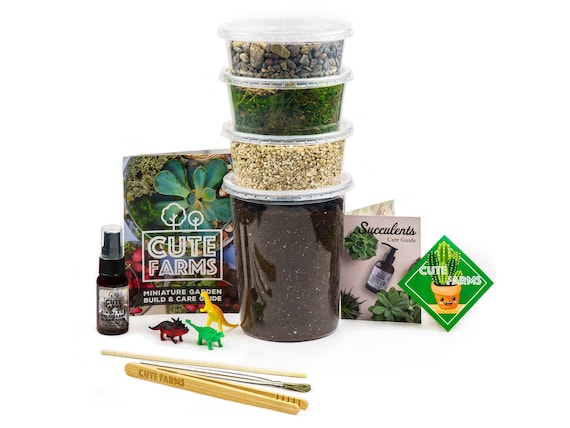 Large Terrarium Starter Kit