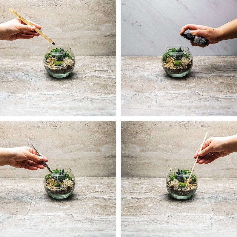 May include: Four steps for creating a terrarium. The first step shows a person using tweezers to place a small plant in a glass globe. The second step shows a person spraying water into the globe. The third step shows a person using a small tool to adjust the plant. The fourth step shows a person using a small tool to adjust the plant.