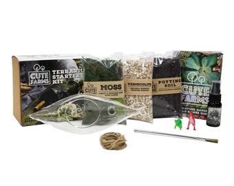 Terrarium Starter Kit DIY with Hanging Glass - Gift Set