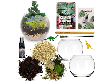 Terrarium Starter Kit DIY with Two Terrarium Glass Bowls - Gift Set