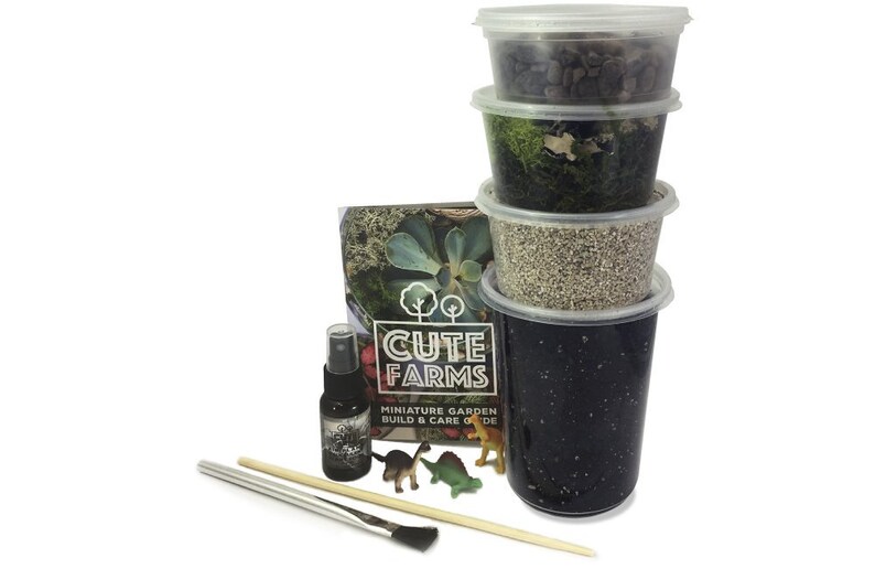 Large Terrarium Starter Kit Etsy