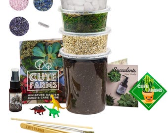 Large Terrarium Starter Kit - Crystal Edition