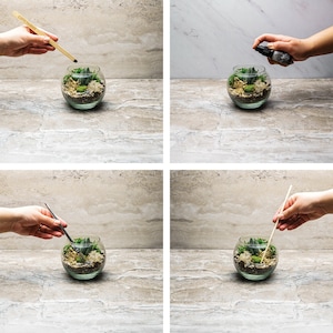 Pu&ograve; includere: Immagine in quattro pannelli che mostra il processo di creazione di un terrario. Una ciotola di vetro trasparente contiene terra, piante ed elementi decorativi. Gli strumenti includono un flacone spray, un cucchiaino e un bastoncino di legno. Il testo "CUTE FARMS" &egrave; visibile sul bastoncino di legno.