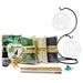 see more listings in the Terrarium Starter Kit section