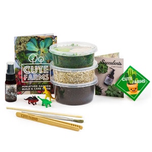 Small Terrarium Starter Kit