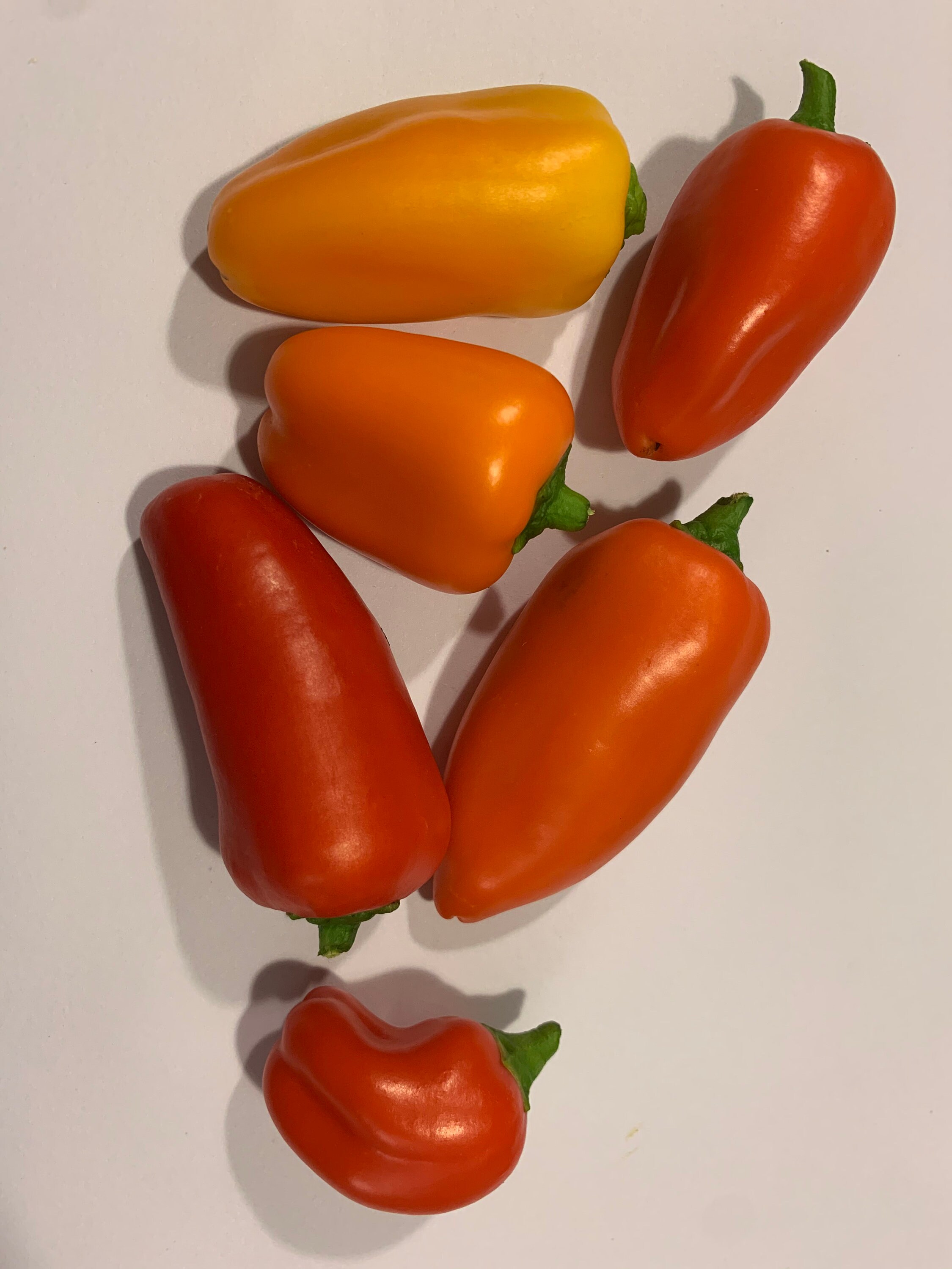 Mini Sweet Pepper Seeds Organic Etsy