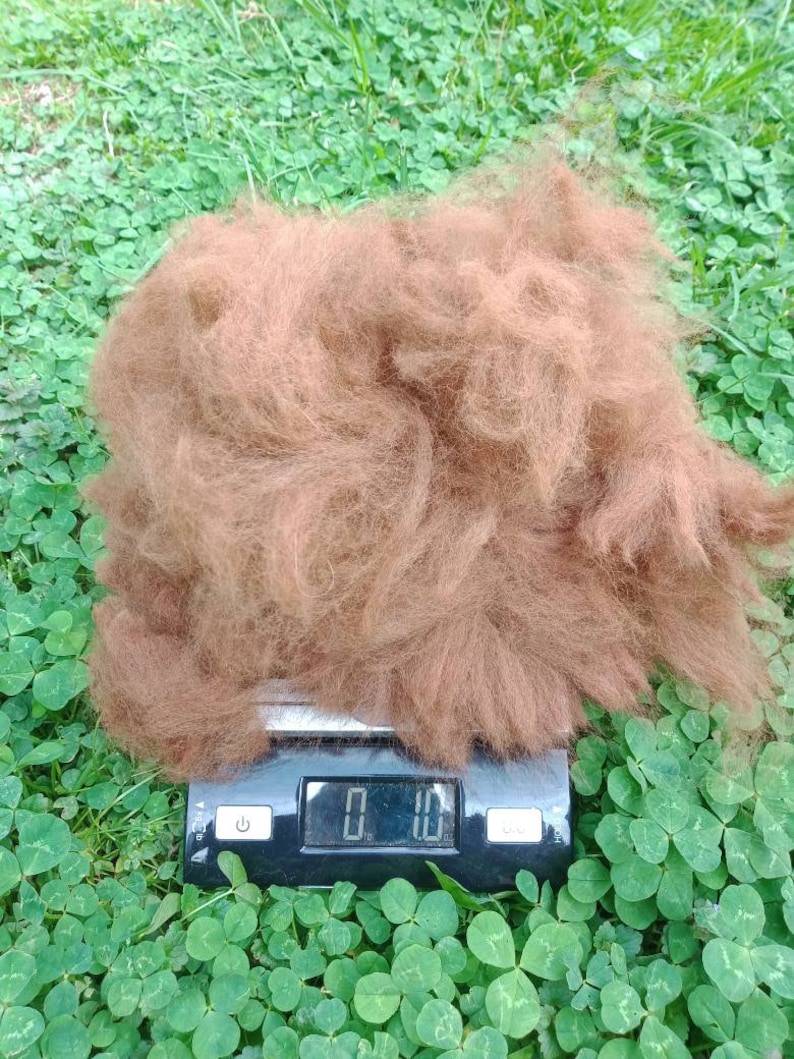 Raw Alpaca Fiber Buttery Brown Unprocessed Alpaca Fleece Etsy