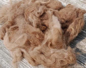 Fawn / Tawny Beige Alpaca Fiber ~ Washed / Raw / Unprocessed Huacaya Alpaca Fiber ~ By the Ounce