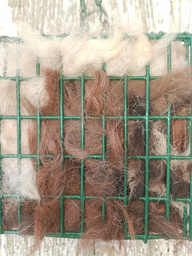 Pode incluir: Um alimentador de p&aacute;ssaros de arame verde cheio de pelo de animal marrom e branco.