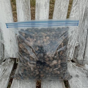 May include: A clear plastic bag filled with small, dark brown, irregularly shaped stones. The bag is sitting on a weathered wooden surface.
