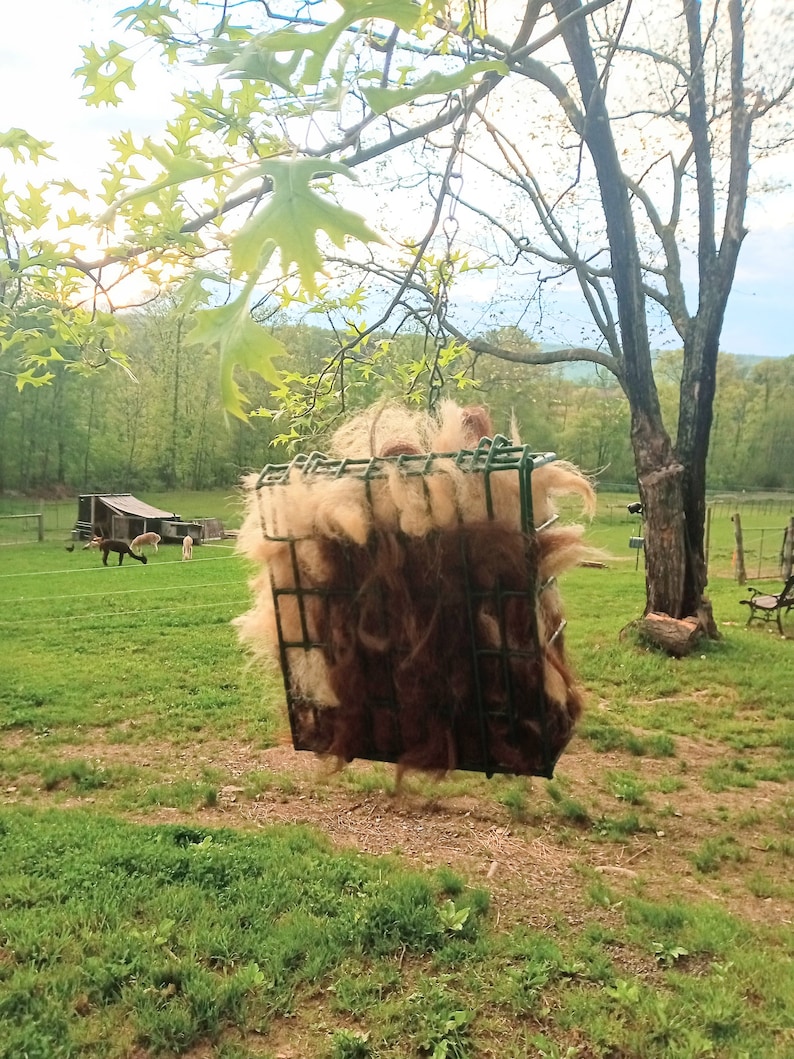 Pode incluir: Uma l&atilde; de alpaca marrom e branca pendurada em uma gaiola de arame. A gaiola est&aacute; suspensa em um galho de &aacute;rvore. A l&atilde; de alpaca &eacute; fofa e macia.