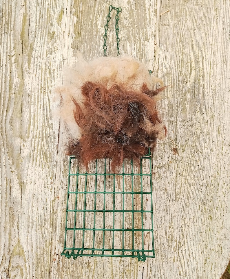 Pode incluir: Uma grelha de metal verde com uma corrente pendurada no topo. Um aglomerado de p&ecirc;lo castanho e branco est&aacute; sentado em cima da grelha.