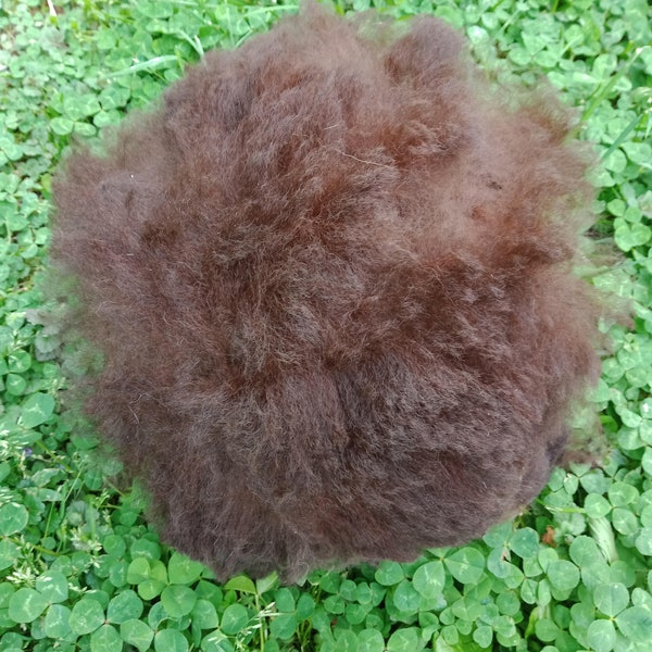 Raw / Unwashed / Unprocessed Dark Brown Huacaya Alpaca Fiber ~ By the Ounce