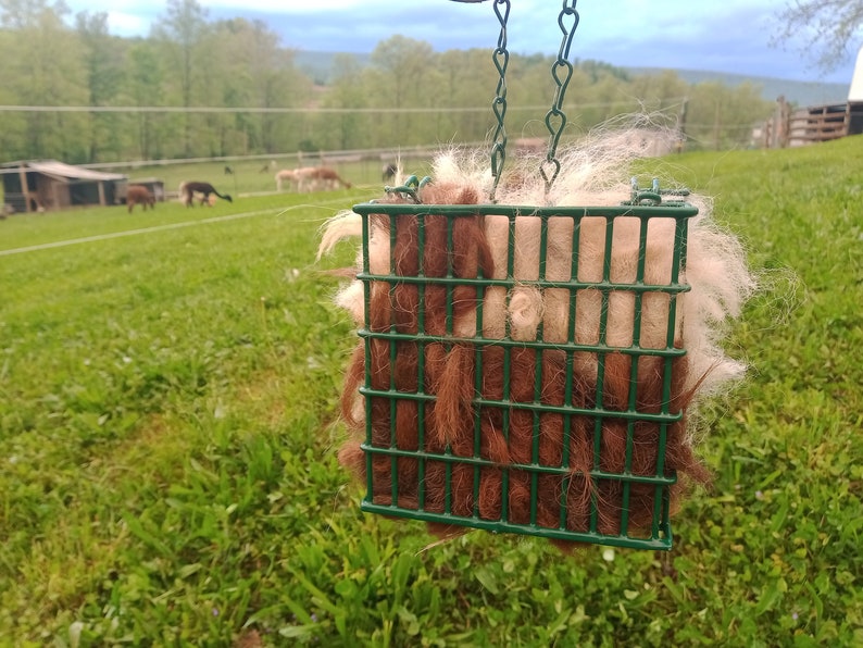 Pode incluir: Uma gaiola de arame verde cheia de l&atilde; de alpaca marrom e branca pendurada em uma corrente. A gaiola est&aacute; em um campo com grama verde e uma cerca no fundo.