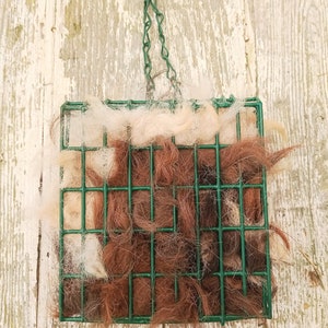 Pode incluir: Uma gaiola de arame verde com uma corrente pendurada no topo. A gaiola est&aacute; cheia de pelo de animal castanho e branco.