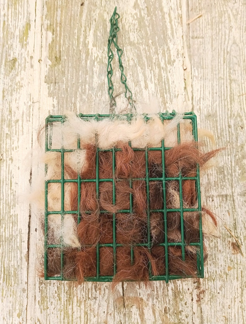 Pode incluir: Uma gaiola de arame verde com uma corrente pendurada no topo. A gaiola est&aacute; cheia de pelo de animal castanho e branco.