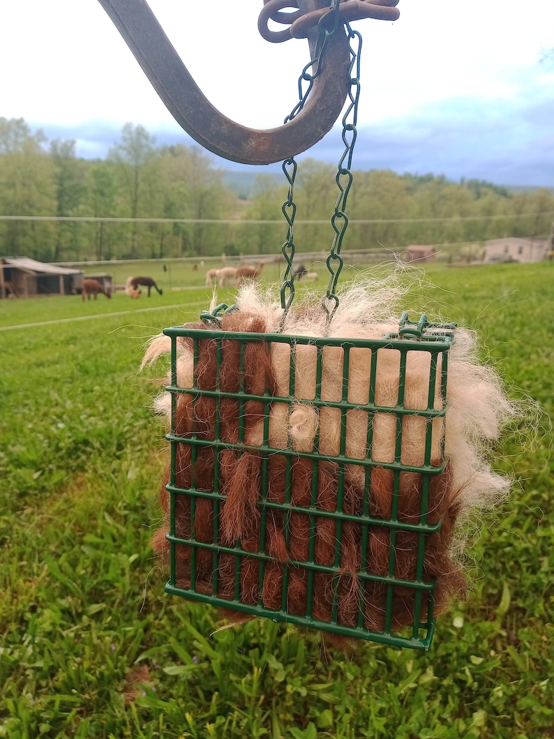 Pode incluir: Uma gaiola de arame verde cheia de l&atilde; de alpaca marrom e branca pendurada em um gancho de metal. A gaiola &eacute; suspensa por uma corrente.