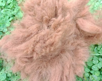 Raw Alpaca Fiber ~ Buttery Brown ~ Unprocessed Alpaca Fleece ~ Felting, Crafting, Knitting, Weaving, Fiber by the Ounce