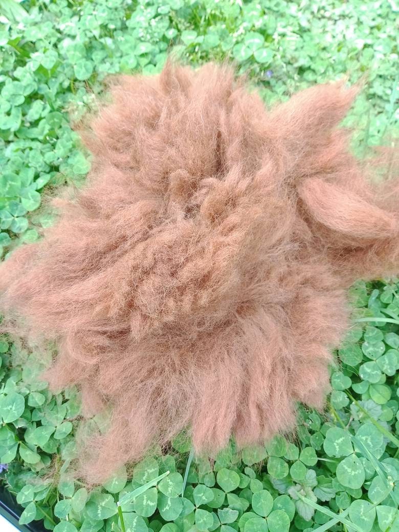 Raw Alpaca Fiber Buttery Brown Unprocessed Alpaca Fleece Etsy