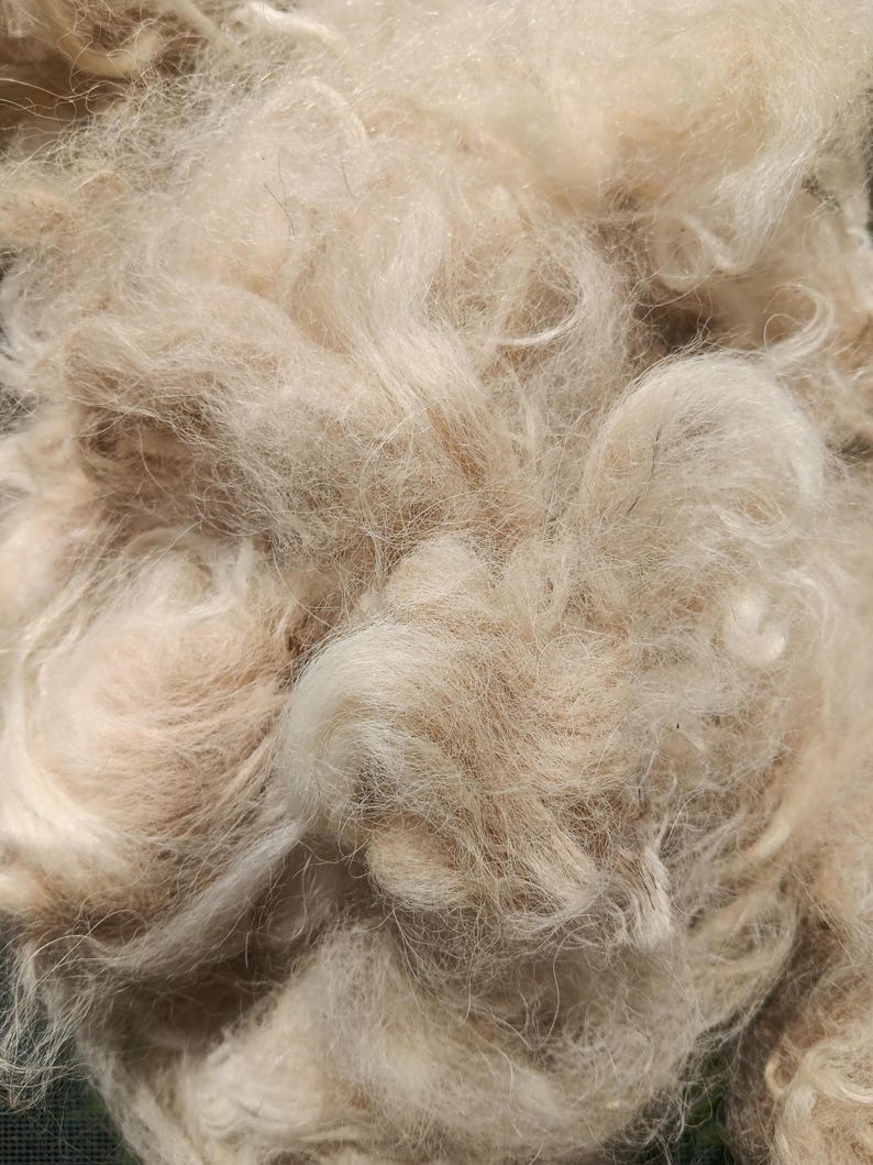 So Beautiful and Soft! Washed / Unprocessed Creamy White Huacaya Alpaca ...