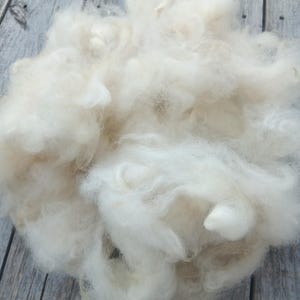 最も純粋な白のワカヤアルパカ繊維：紡績とフェルト化のための生のフリース