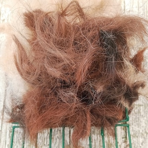 Pode incluir: Close-up de um monte de pelo de animal marrom e branco em uma superf&iacute;cie de malha de arame verde.