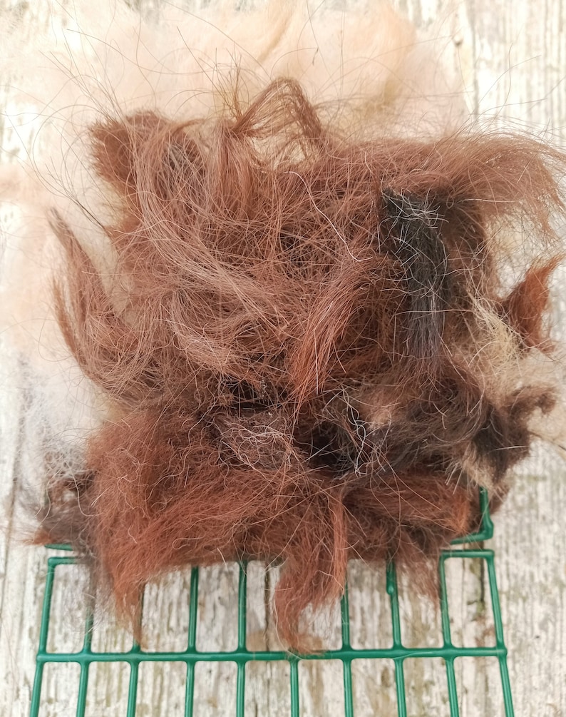 Pode incluir: Close-up de um monte de pelo de animal marrom e branco em uma superf&iacute;cie de malha de arame verde.
