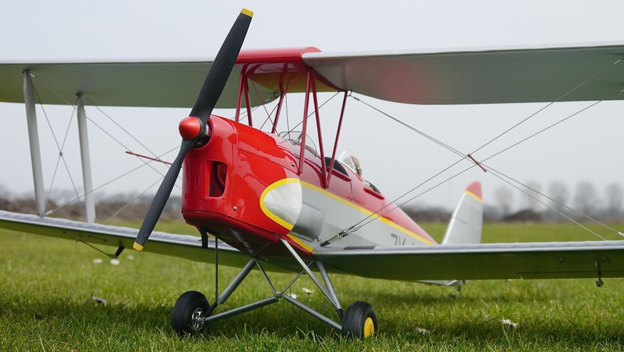 Tiger best sale moth rc