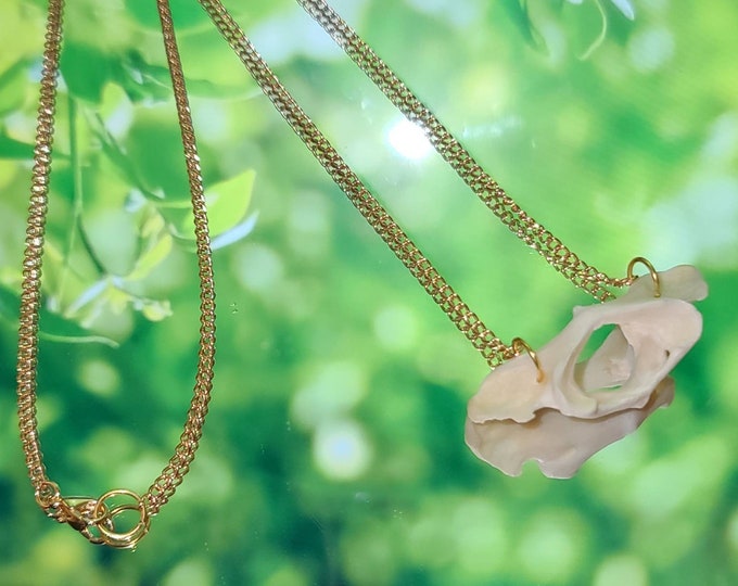 Vertebrae Gold Chain Necklace