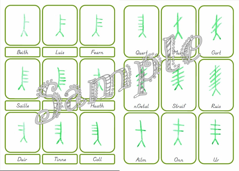 PRINTABLE Ogham 3 Part Cards. Ogham Flashcards. Ogham Nomenclature ...