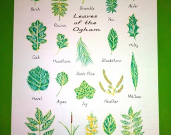 PRINTABLE Leaves of the ogham poster