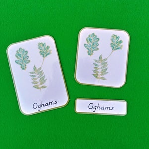 PRINTABLE Ogham Leaves 3 part cards. Ogham leaves flashcards. Ogham leaves nomenclature cards.