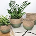 see more listings in the seaweed baskets section