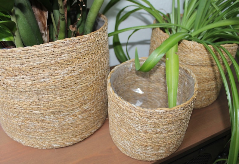 Basket made of natural seagrass plant basket flower basket filling basket decorative basket image 2