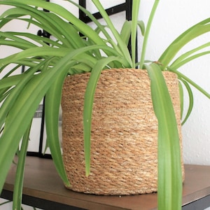 Basket made of natural seagrass plant basket flower basket filling basket decorative basket image 3