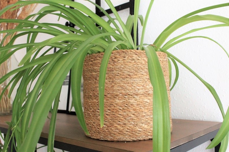 Basket made of natural seagrass plant basket flower basket filling basket decorative basket image 3