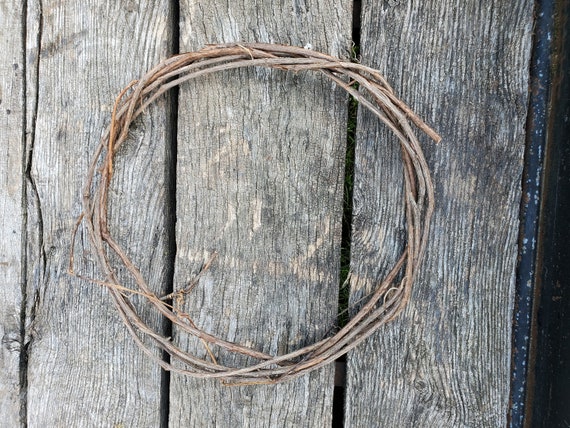 Grape Vines for Your Crafting Needs. - Etsy