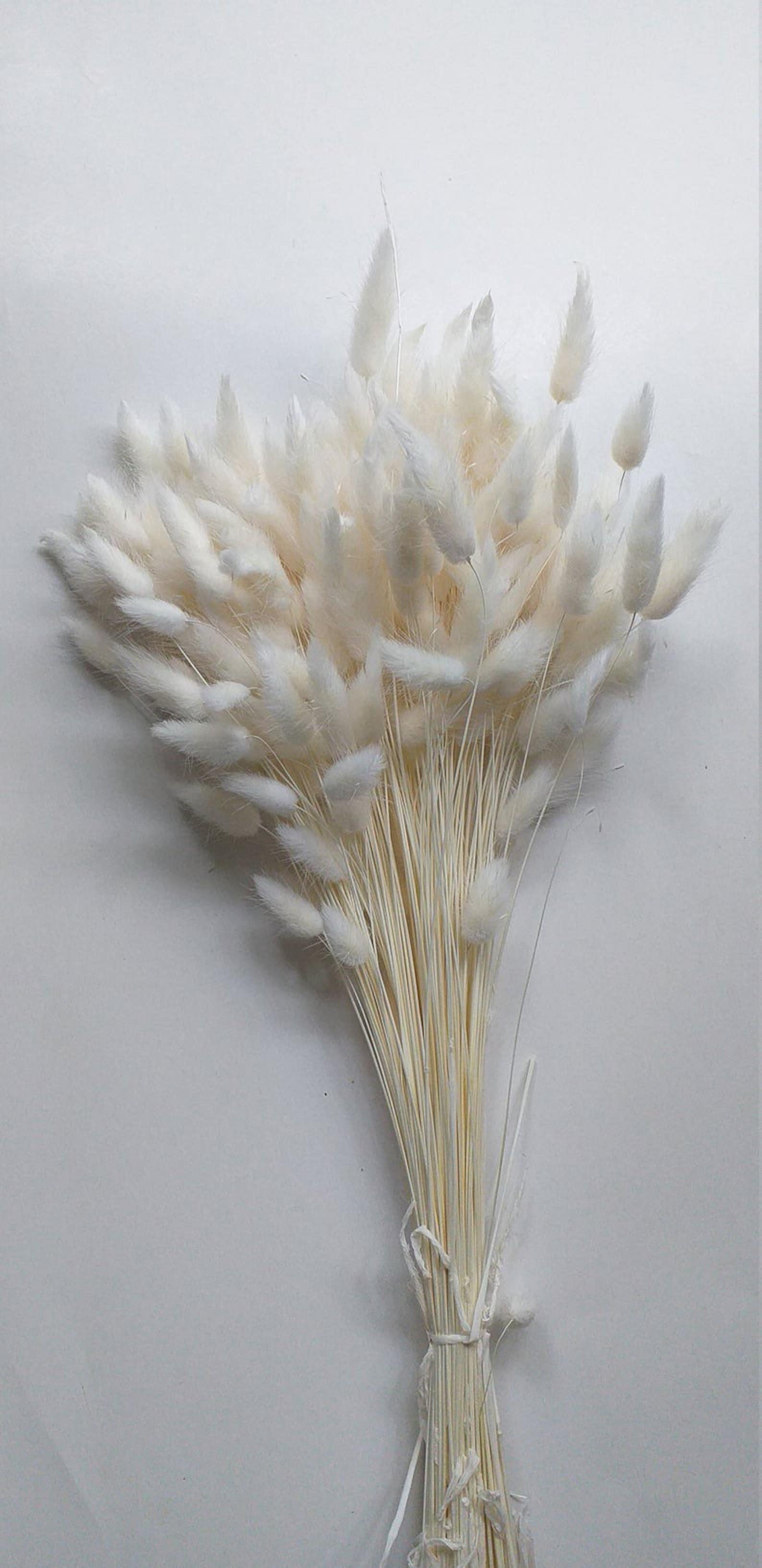 Bleached white bunny tails Etsy