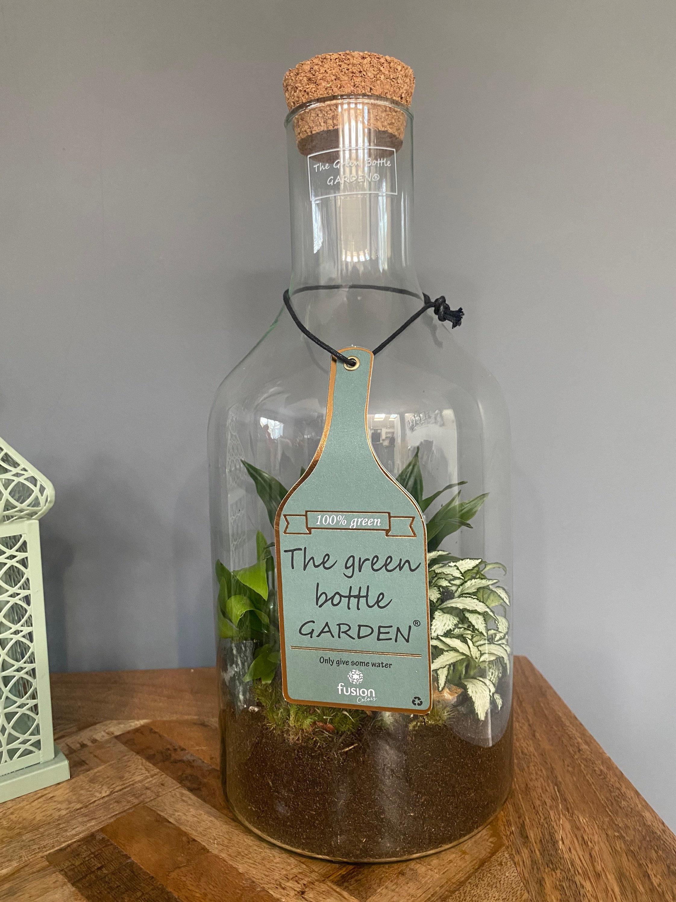 The Green Bottle Garden Terrarium with arrangement